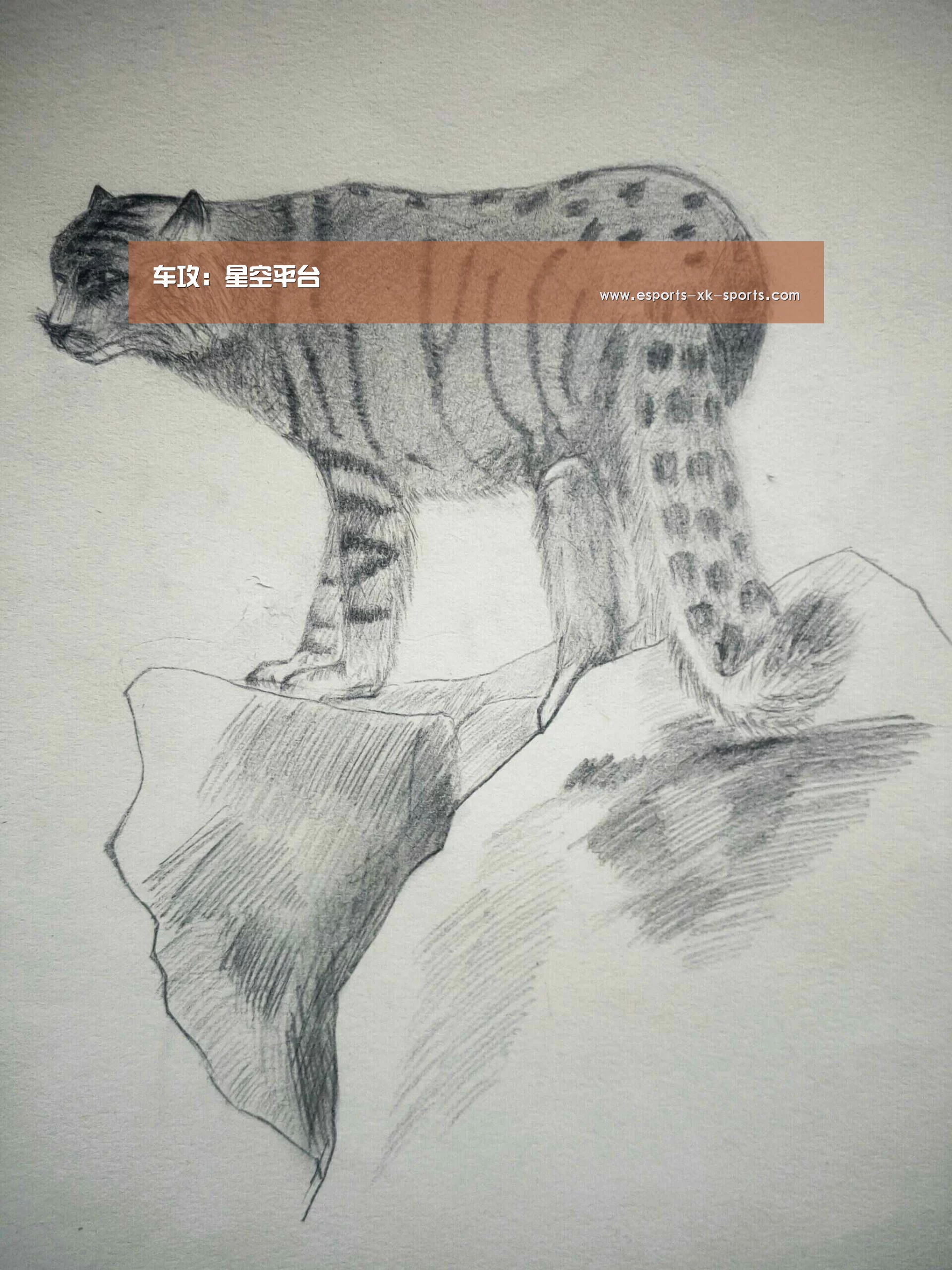 车攻：星空平台
